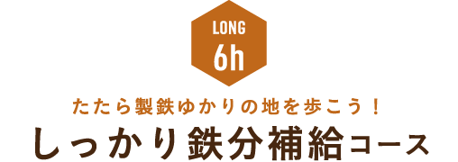 たたら製鉄ゆかりの地を歩こう！しっかり鉄分補給コース