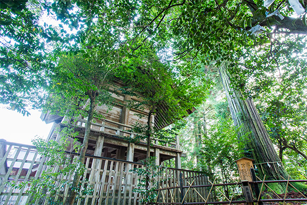 イメージ：須佐神社